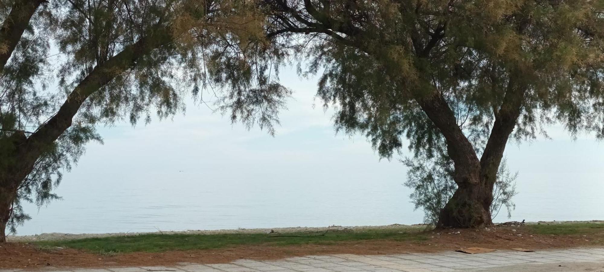 Mana Mia Seaside Apartments Leptokarya  Bagian luar foto
