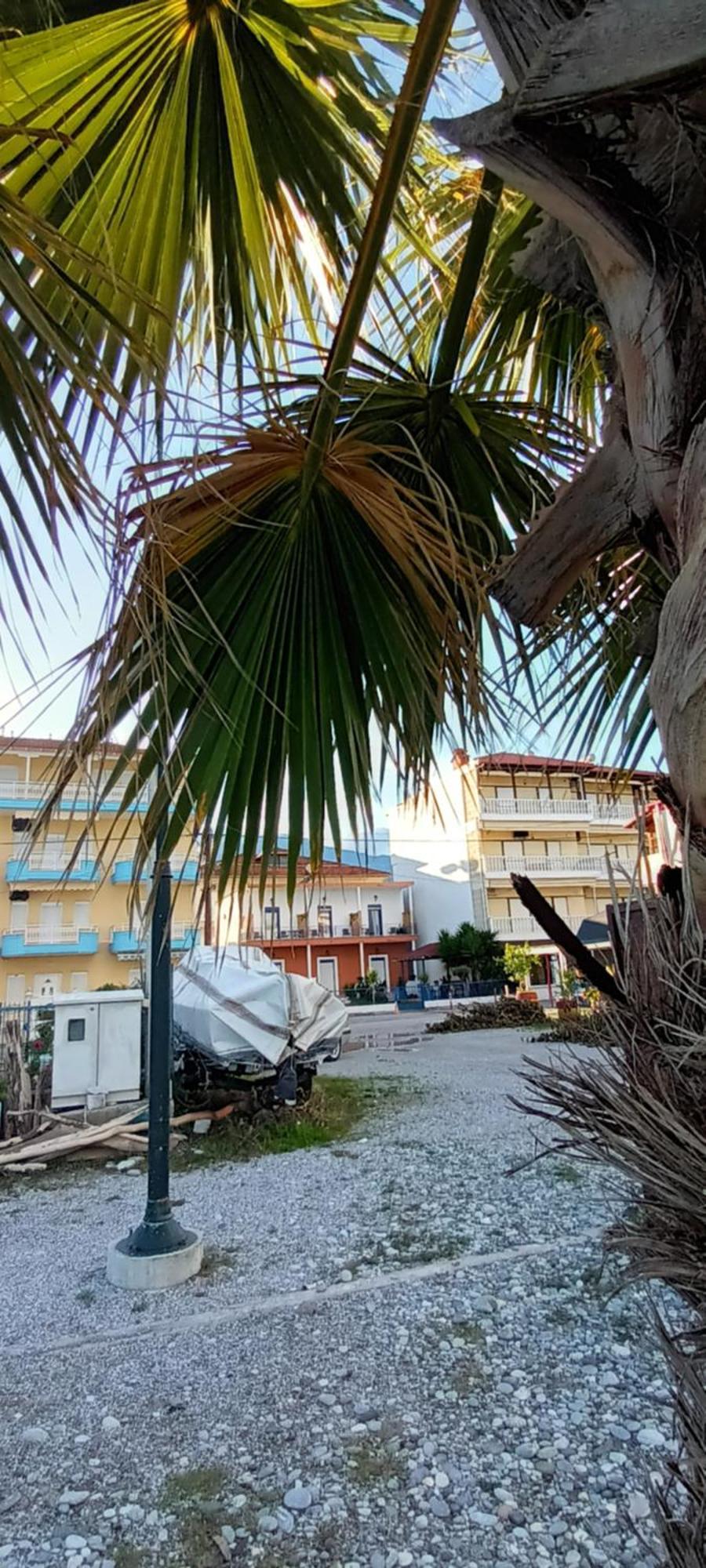 Mana Mia Seaside Apartments Leptokarya  Bagian luar foto